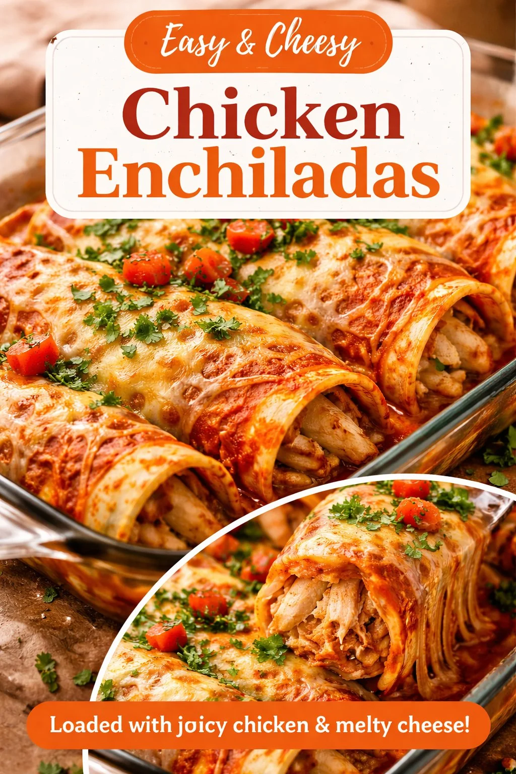 Creamy Chicken Sour Cream Enchiladas