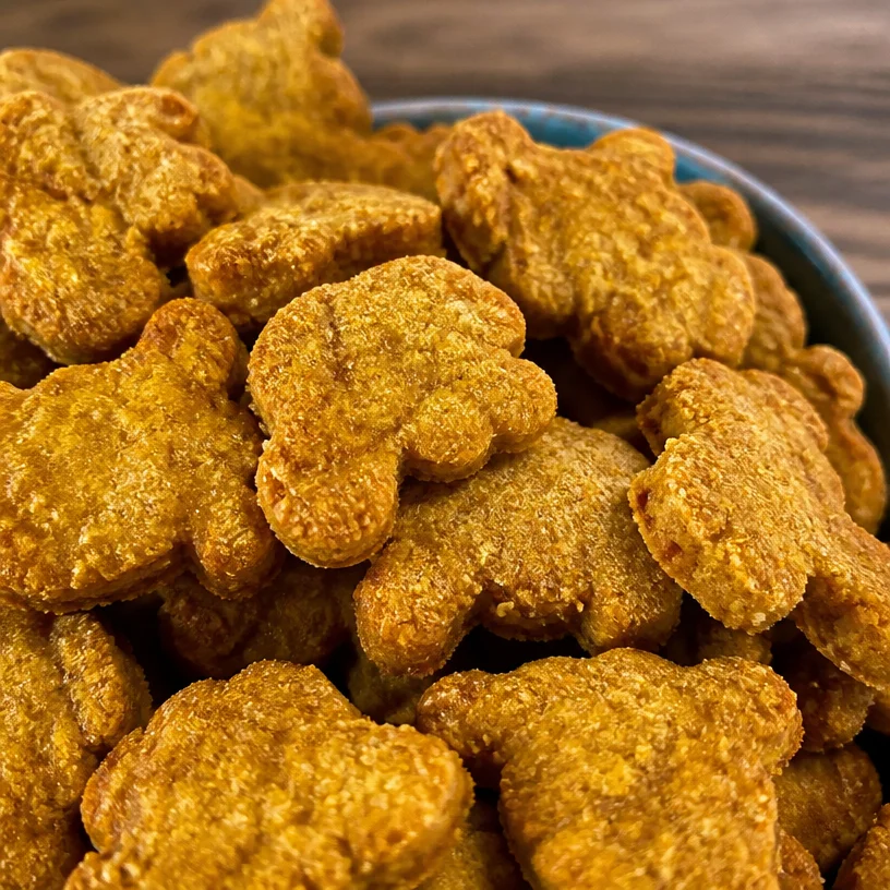 Homemade easy 3-ingredient pumpkin dog treats on a wooden table