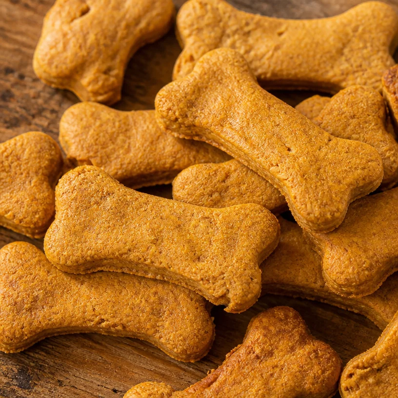 Homemade peanut butter pumpkin dog treats on a wooden surface