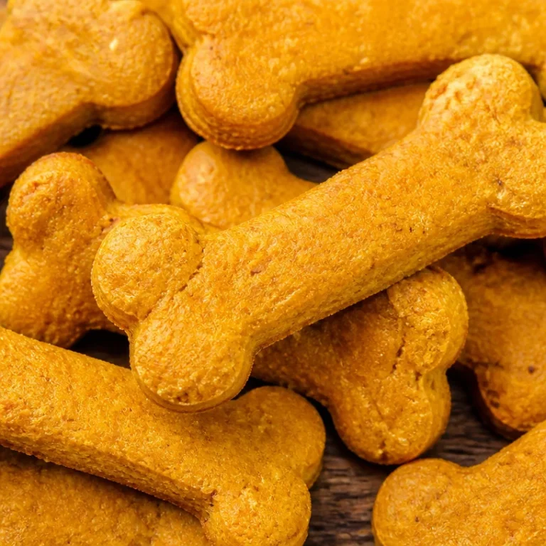 Homemade pumpkin dog treats prepared for a happy dog.