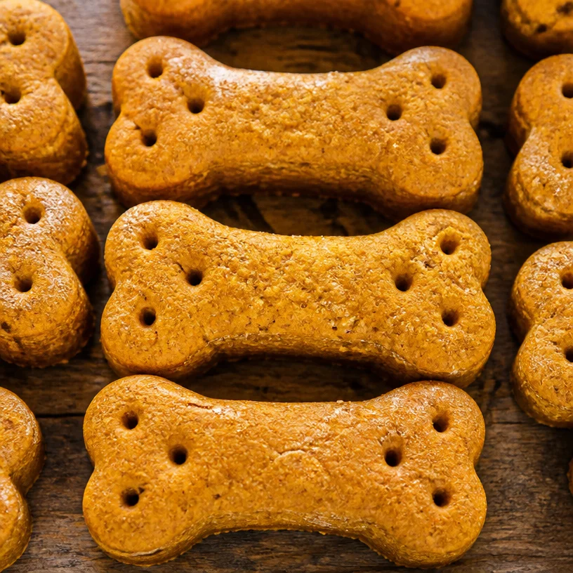 Peanut butter and pumpkin dog treats in a bowl, perfect for rewarding dogs with healthy snacks.