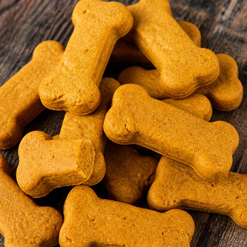 Homemade peanut butter and pumpkin dog treats on a wooden table