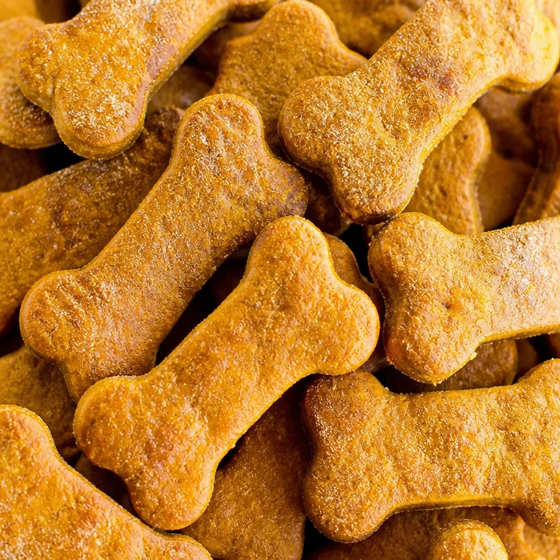 Homemade pumpkin dog biscuits for healthy dog treats